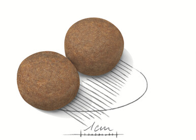Royal Canin Croquettes pour chien 15 kg Royal Canin Croquettes pour chien 15 kg