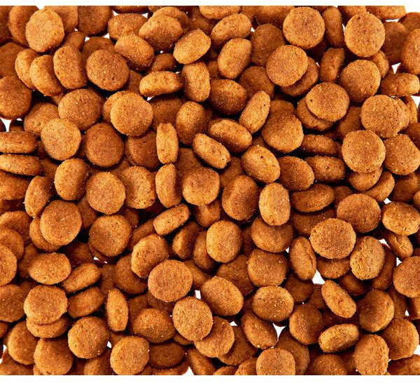 Royal canin medium adult 15kg clearance 3kg free