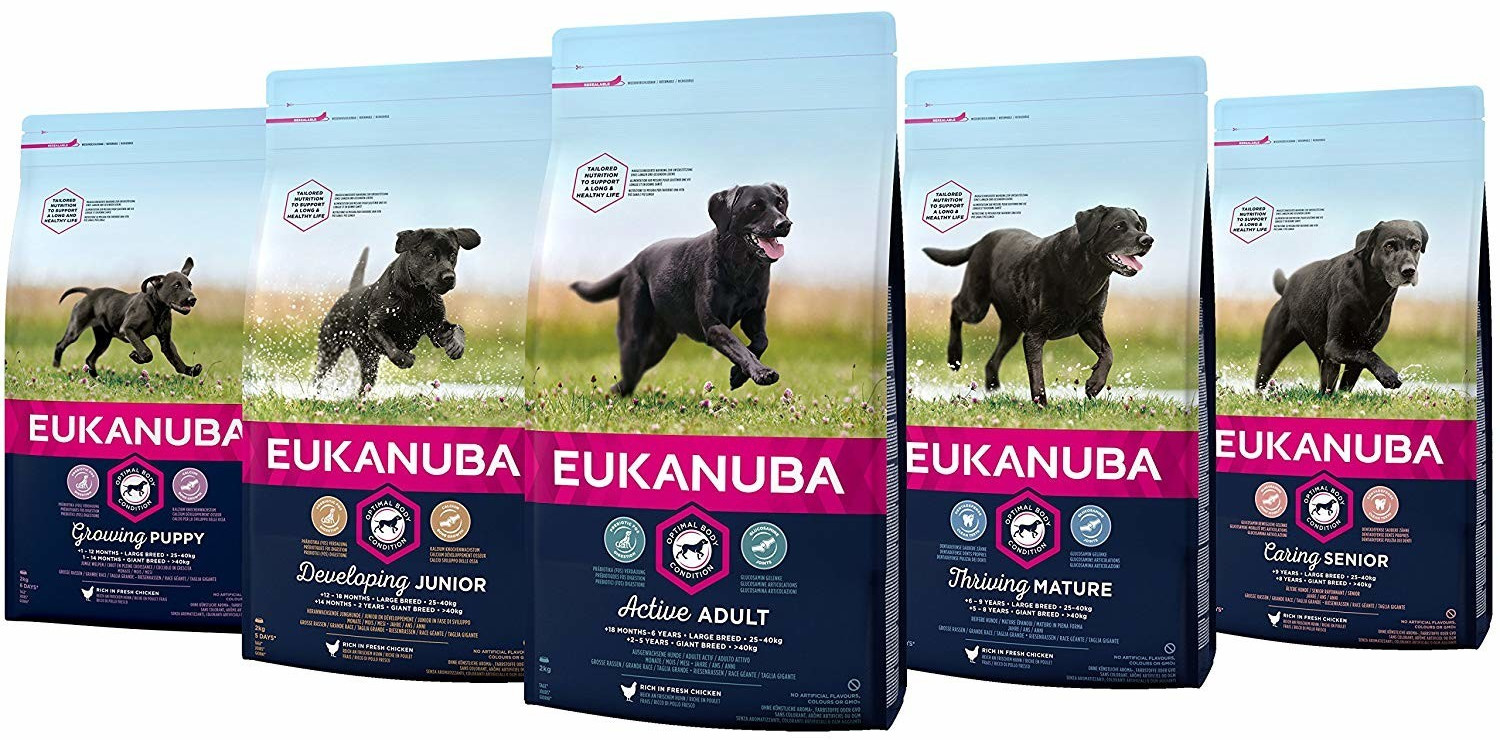 Eukanuba Croquettes pour chien