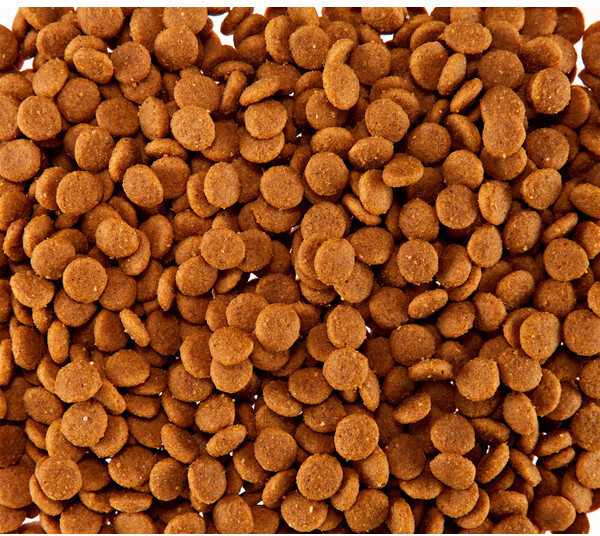 Royal Canin Croquettes pour chien 4 kg Royal Canin Croquettes pour chien 4 kg