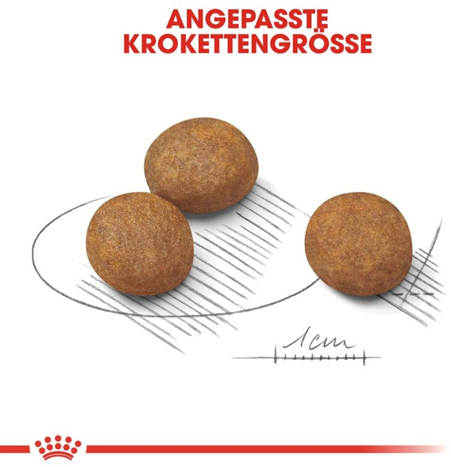 Royal Canin Croquettes pour chien 4 kg