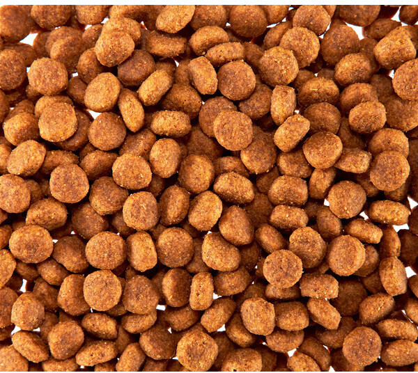 Royal Canin Croquettes pour chien 4kg Royal Canin Croquettes pour chien 4kg
