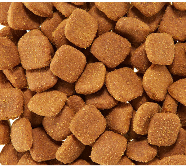 Royal Canin Croquettes pour chien 12kg Royal Canin Croquettes pour chien 12kg