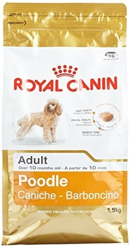 Royal Canin Race Caniche Adult (1,5 kg)