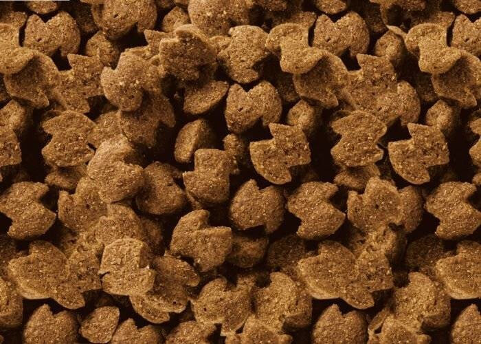 Eukanuba Croquettes pour chien 12kg