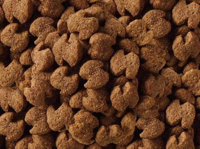 Eukanuba Breedgolden Retriever 12kg ab 39 80 Preisvergleich bei idealo