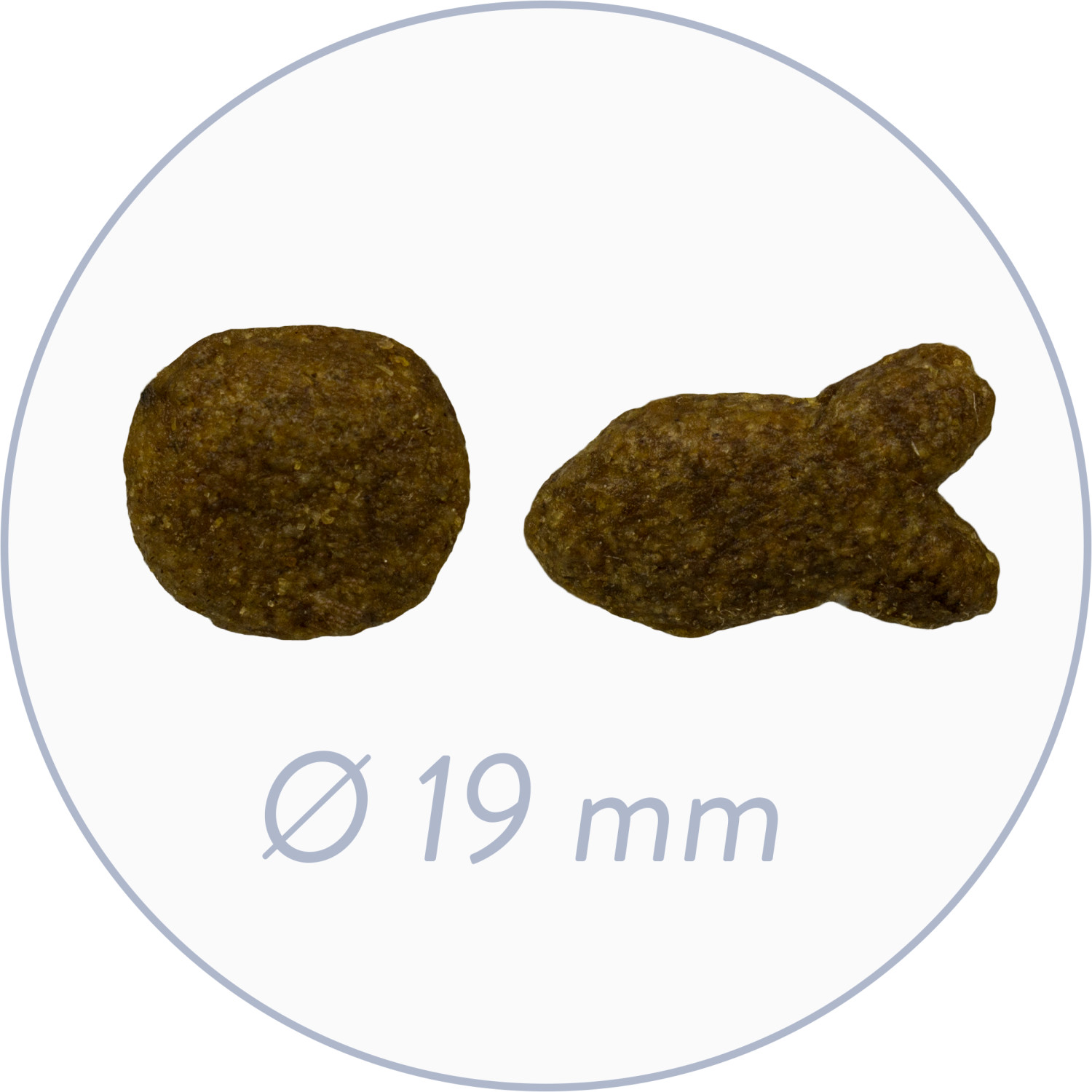 bosch Croquettes pour chien 3 kg bosch Croquettes pour chien 3 kg
