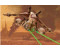 Revell Star Wars Republic Gunship easykit pocket (06729)