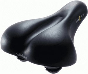 selle royal avenue