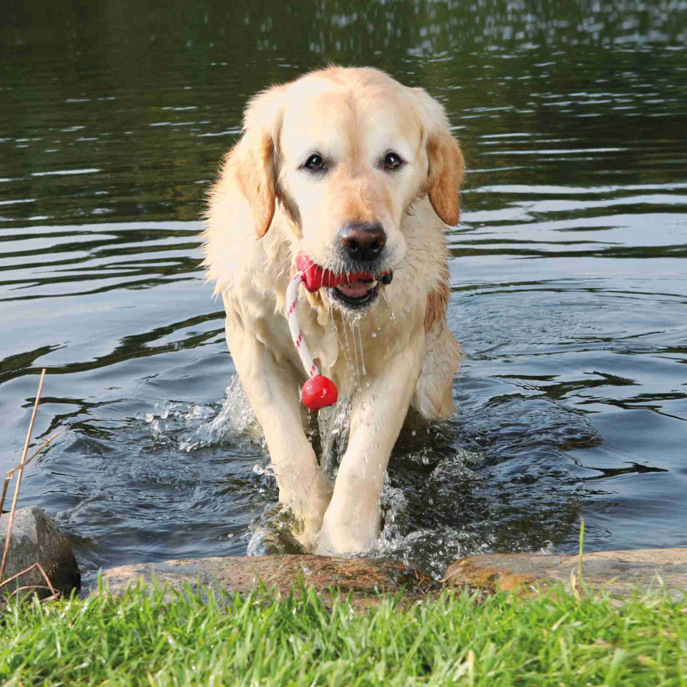 Trixie Jouet d'occupation pour chien 9 cm Trixie Jouet d'occupation pour chien 9 cm