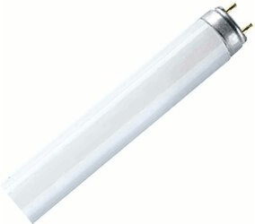 Osram L 36W/76-1