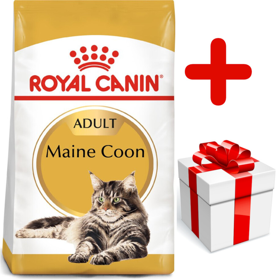 Royal Canin Croquettes pour chat 10 kg Royal Canin Croquettes pour chat 10 kg