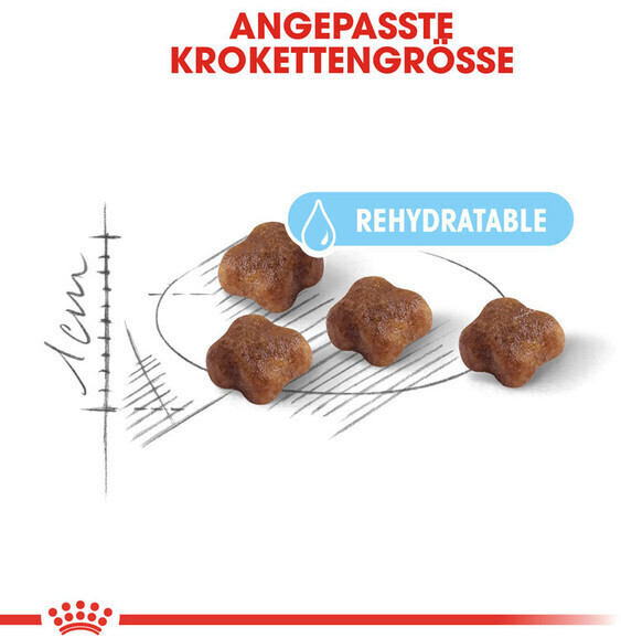 Royal Canin Croquettes pour chat Mother & Babycat First Age Royal Canin Croquettes pour chat Mother & Babycat First Age