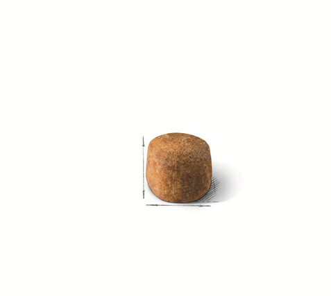 Royal Canin Croquettes pour chat 4 kg