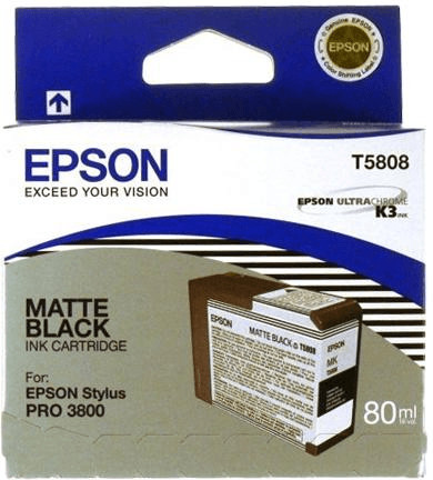 Epson T5808 noir photo