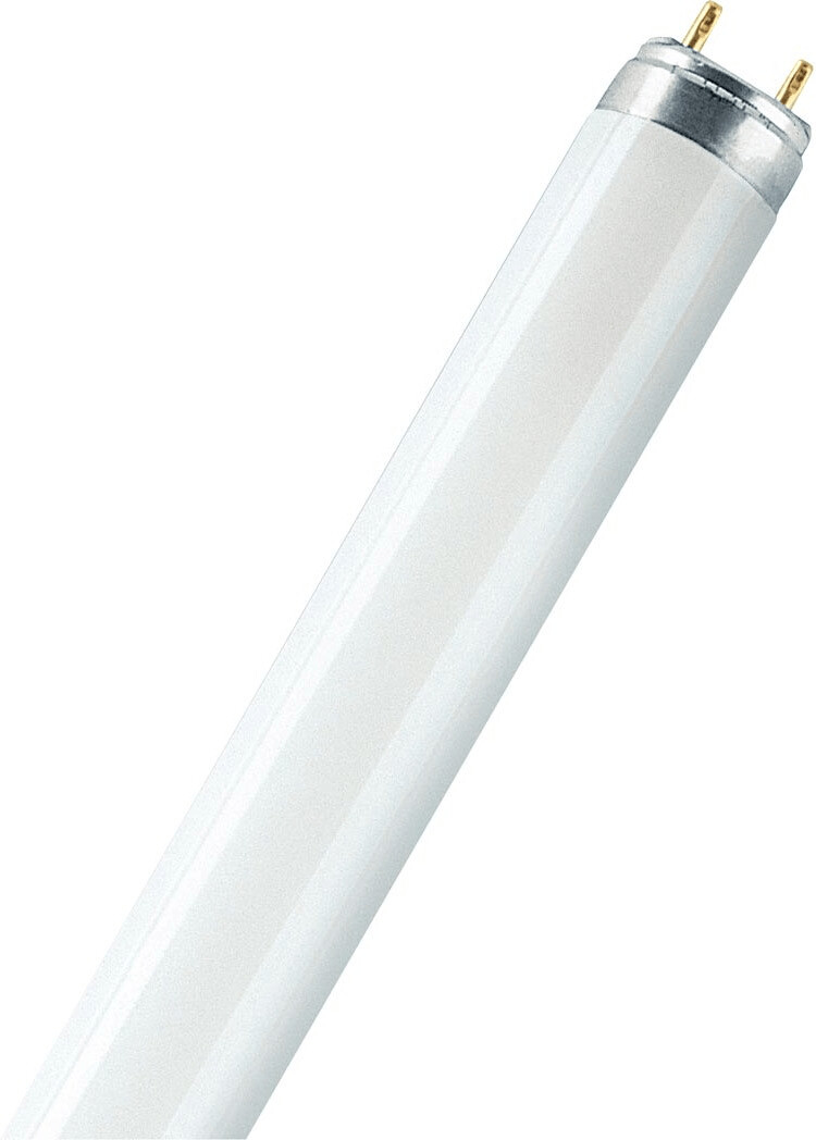 Osram L 58W/954