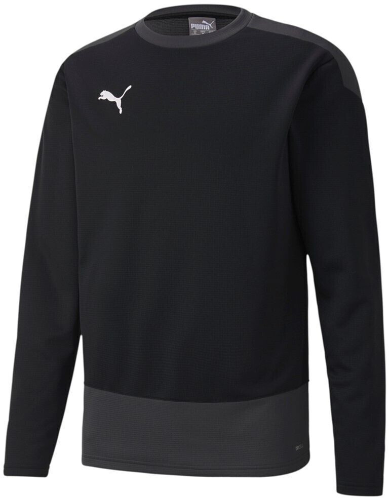 Puma Teamgoal 23 Training Sweat (656478)