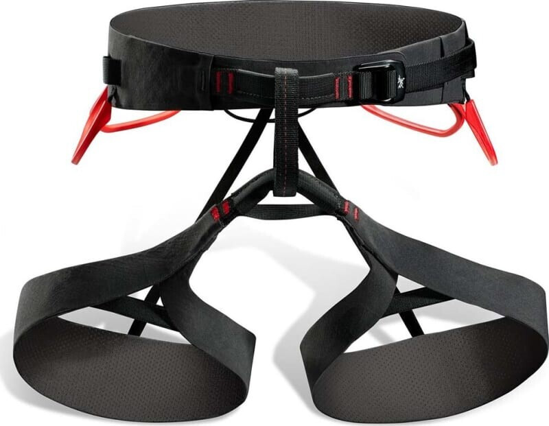 Arc'teryx Men's C-Quence Harness Black/Dynasty