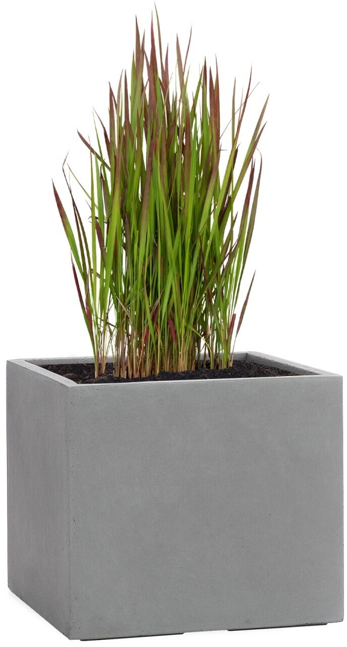 Pflanzwerk Cube gris