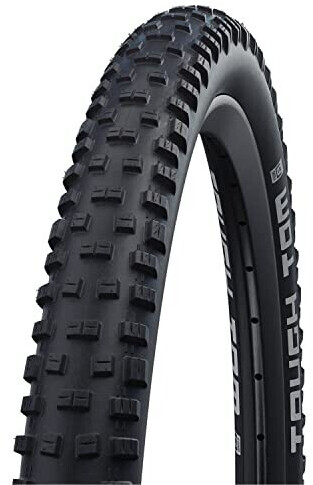 schwalbe tough tom 2.25 tubeless