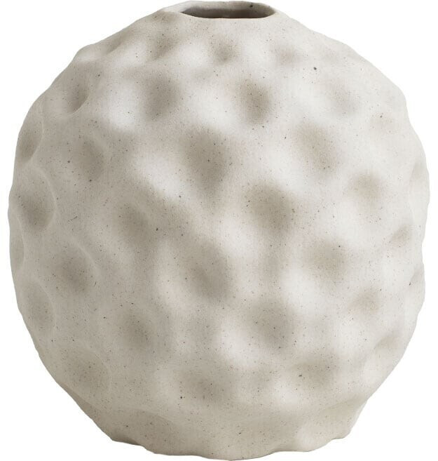 Cooee Seedpod 14cm