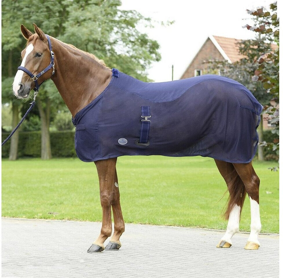 Busse Abschwitzdecke Summer Fly II (603587) ab 46,01 € Preisvergleich