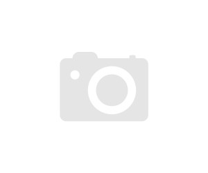 Paul Neuhaus 4-flammig € bei Deckenleuchte in Icicle und silber Preisvergleich G9 | Transparent Silber 118,21 ab