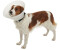 Kruuse Buster Classic Dog Collar
