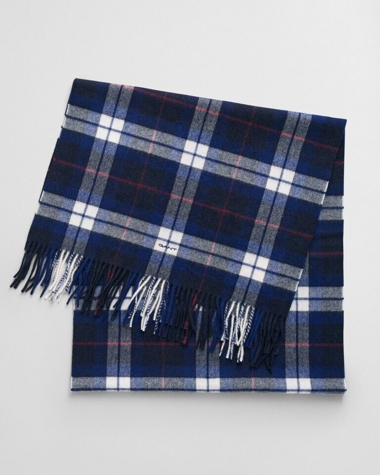 GANT Scarf (4920230)