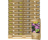Rhododendronerde (2025) Preisvergleich Jetzt günstig bei idealo kaufen