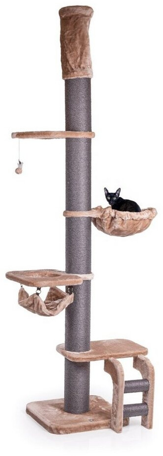 CanadianCat XXL Kratzbaum Lofty mit Deckenspanner in Cappuccino  57x57x250-275cm ab 249.9  | Vergleiche 4 Angebote auf idealo.de