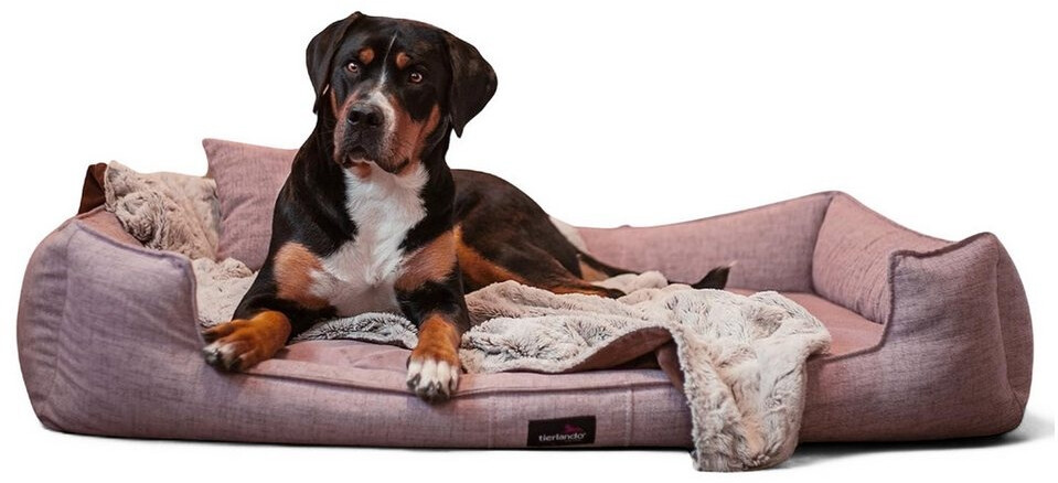 diät nassfutter katzen Vet Expert Obesity Diät Nassfutter für Katzen, 100 g×12 Stk – ZuZu.land main image 1