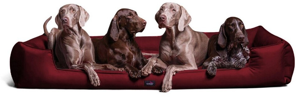 Tierlando Orthopdisches Hundebett GOOFY >> inkl. Matratzenschoner <<  Polyester Gre: 160x110cm Farbe: 04 Dunkelrot ab 179.95  | Vergleiche 3  Angebote auf idealo.de