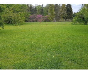 Kiepenkerl RSM 7.1.1 Landschaftsrasen Standard 10 kg Grassamen