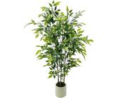 knstliche thuja hecke Thuja Smaragd kaufen