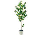 Zitronenbaum 150 cm | Preisvergleich bei idealo.de