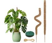 Kokos Pflanzstab Monstera | Preisvergleich bei idealo.de