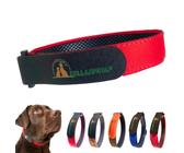 hunde wasser halsband Hundehalsband wasserfest PVC ab 14,99 € – Kaiser Hund
