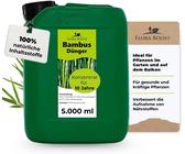 echte aloe Aloe vera (Echte Aloe) kaufen