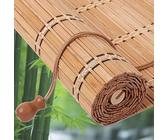 bambus nl Bambus schwarz - Phyllostachys nigra main image 0
