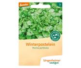 eukalyptus baum knstlich Kunstpflanze Eukalyptus 120cm grn gnstig online kaufen