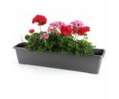 elho blumenkasten corsica Elho Balkonkasten Corsica Easy balcony oval anthrazit