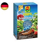 bio senf saatgut Senföl BIO kaltgepresst nativ – Ölmühle Sauerland main image 0