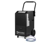 EBERTH Hauswasserwerk 3600 L/h, 5 bar, 750W, Druckkessel 50L Lackiert Stahl