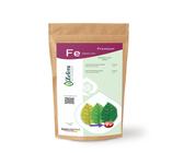 aloe for melasma Melasma Kit with Sunscreen | Dark Patches Treatment main image 0