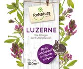 Luzerne Saatgut 5 kg | Preisvergleich bei idealo.de