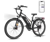 trekking e bike 750 watt BUWEE E-Bike 7 speed, derailleur gears, rear motor LIGHT Farbe:Antike Eiche rated display ensures greater Cube Stereo Hybrid 160