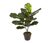 Ficus Lyrata Knstlich | Preisvergleich bei idealo.de