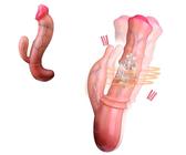 prostatamassage mit dildo AMORELIE Prostata Stimulator Vibrator Melt, 1 St dauerhaft günstig online  kaufen