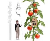 Pflanzstbe Tomaten 180 cm | Preisvergleich bei idealo.de